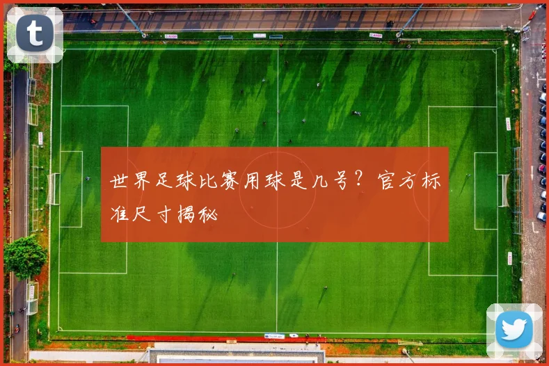 世界足球比赛用球是几号?官方标准尺寸揭秘