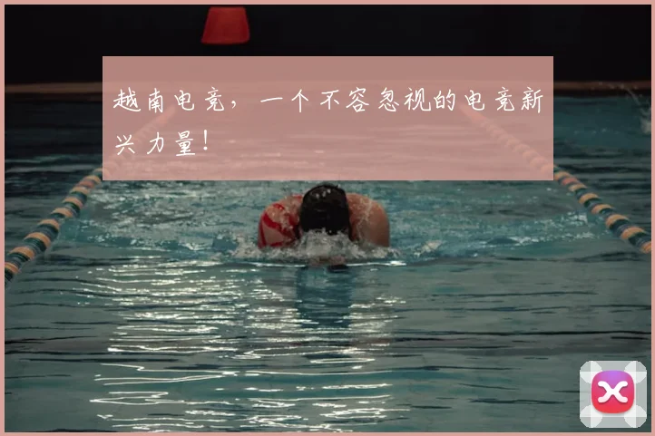 越南电竞,一个不容忽视的电竞新兴力量!