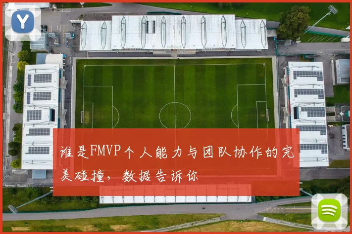 谁是FMVP个人能力与团队协作的完美碰撞,数据告诉你